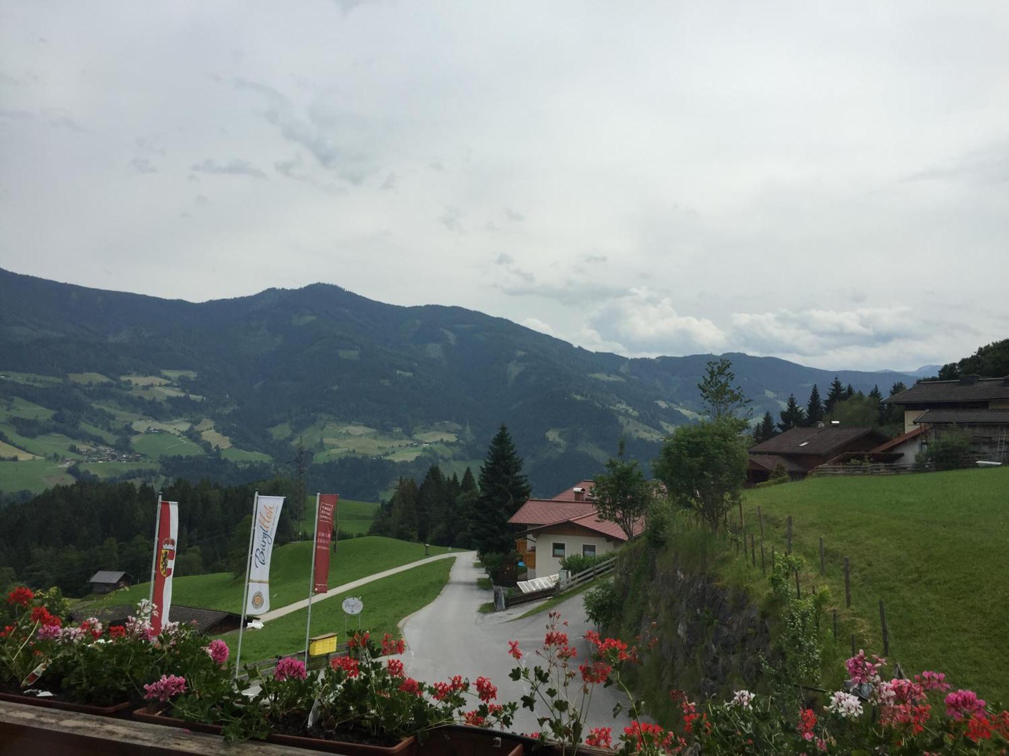 Hotel Und Alpen Apartments Mit Sauna - Buerglhoeh Бишофсхофен Экстерьер фото